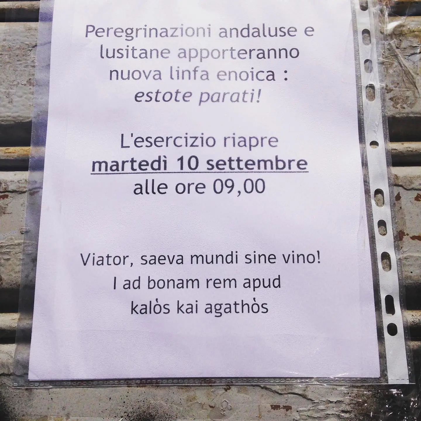 Avviso di riapertura in latino e greco: Viator, saeva mundi sine vino, kalòs kai agathòs