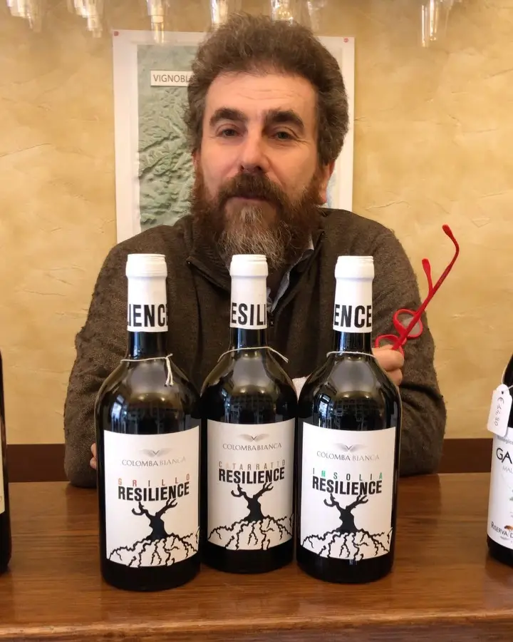 Tre bottiglie di Colomba Bianca: Grillo, Catarratto e Insolia
